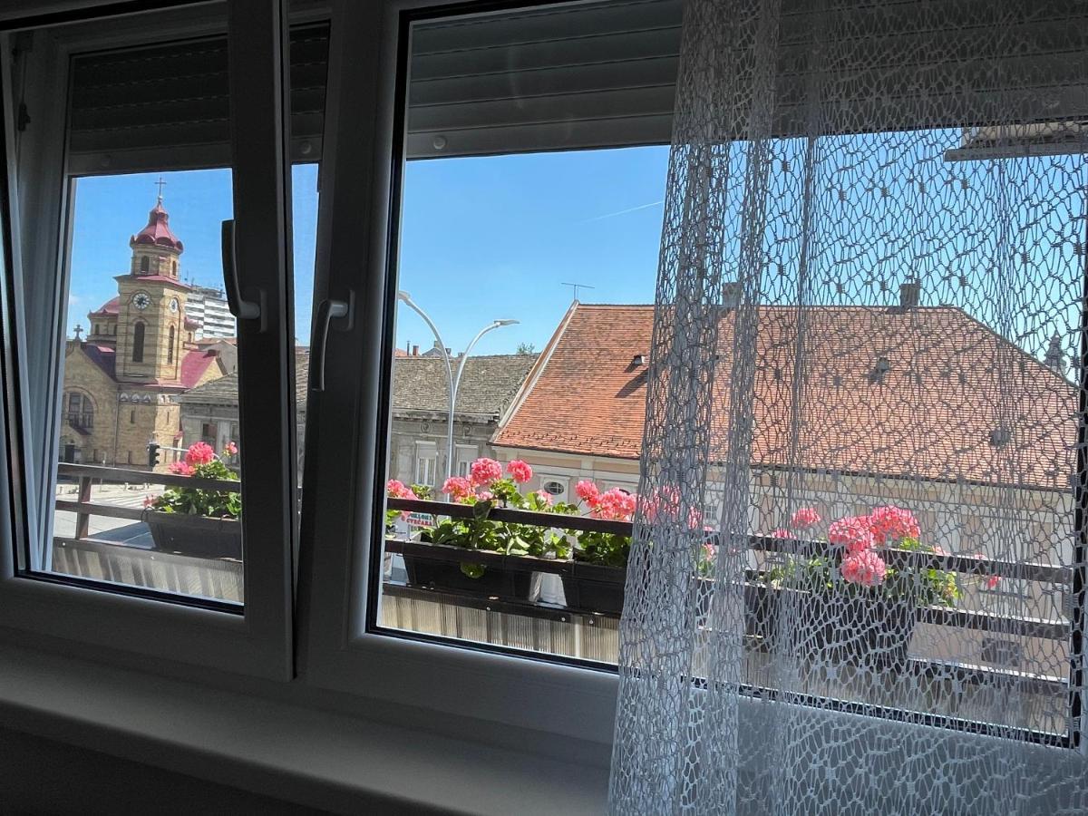Sunny Apartment Vrsac Bagian luar foto