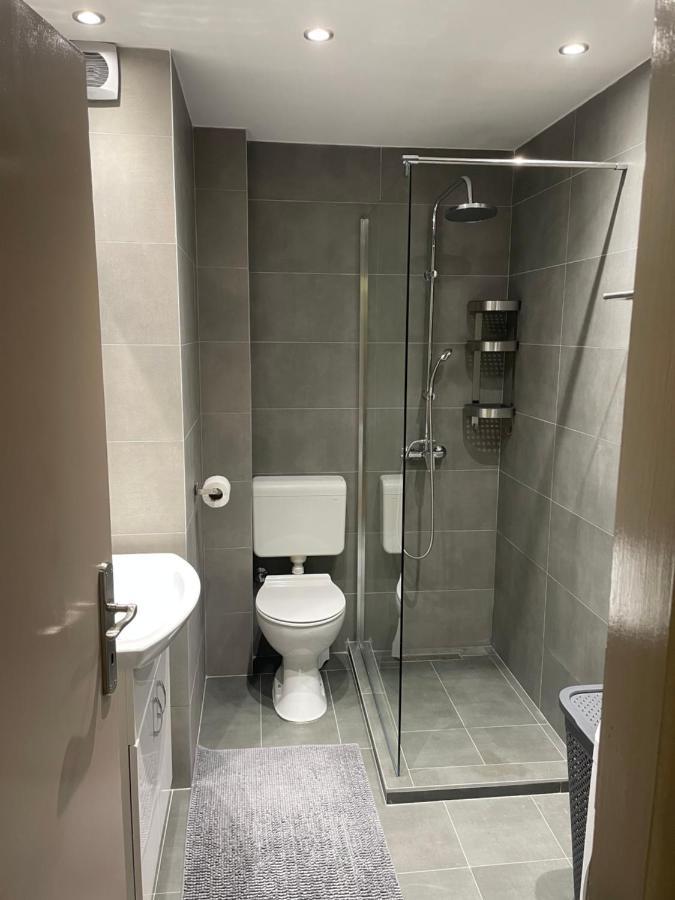 Sunny Apartment Vrsac Bagian luar foto