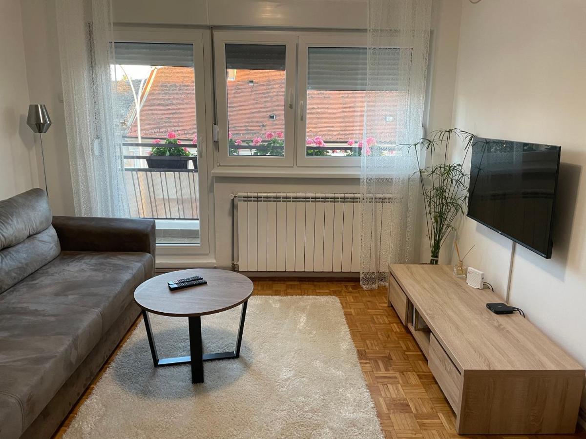 Sunny Apartment Vrsac Bagian luar foto