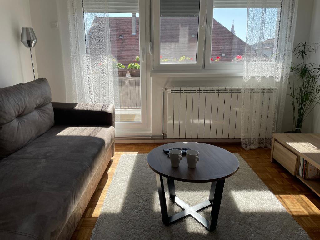 Sunny Apartment Vrsac Bagian luar foto
